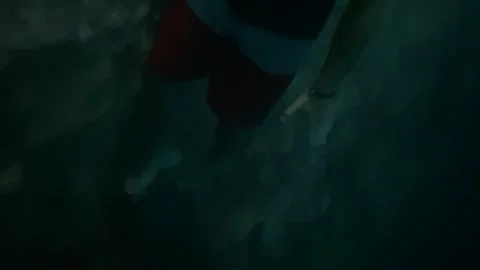 Diving Through Riviera Maya Cenotes Stock Footage 245026835