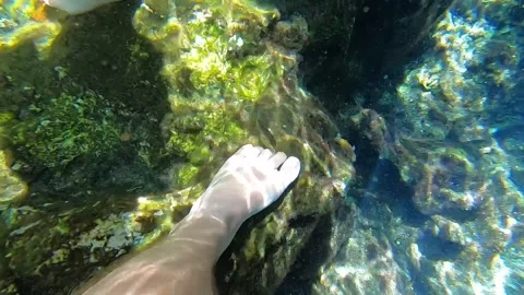 Diving Through Riviera Maya Cenotes Stock Footage 257350313