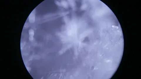 Diving through the snow under a microscope. Study of precipitation Stock Footage 148366499