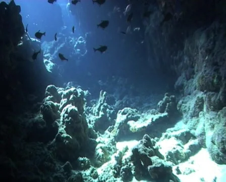 Diving through an underwater cave Stock Footage 574351