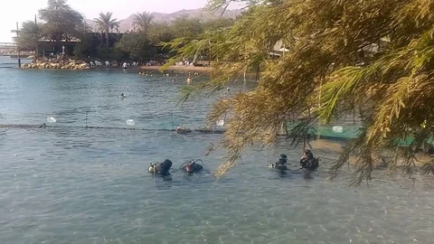 Diving Training - Dolphins Reef Eilat Stock Footage 83935995