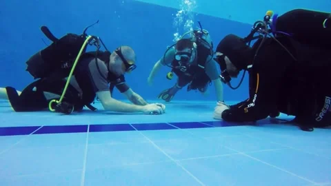 Diving training in a swimming pool. Stock Footage 301333365