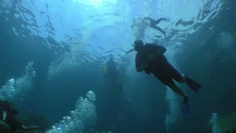 Diving: trains of air bubbles rising to the surface from a group of divers. Stock Footage 142575239