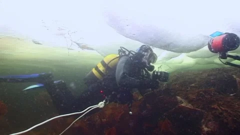 Diving under arctic ice exploring life in the white sea Stock Footage 314132386