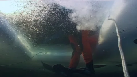 Diving under arctic ice sheets exploring white sea creatures Stock Footage 312488857