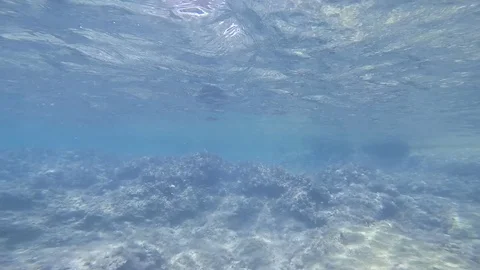 Diving under the sea Stock Footage 92337113