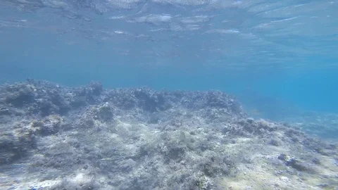 Diving under the sea Stock Footage 92337248