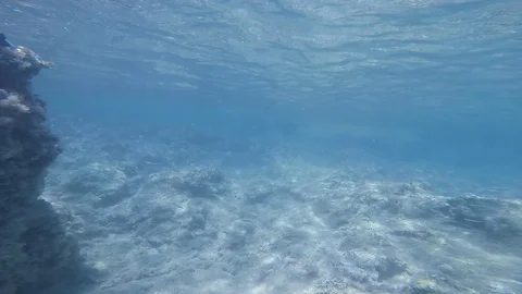 Diving under the sea Stock Footage 92337338