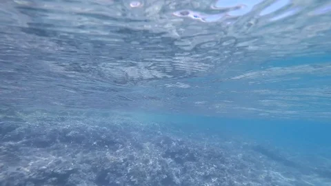 Diving under the sea Stock Footage 92338058