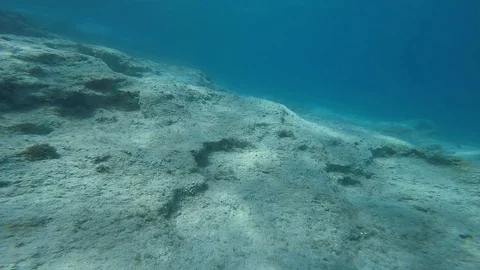 Diving under the sea Stock Footage 92338628