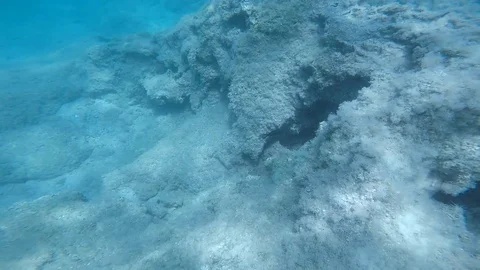 Diving under the sea Stock Footage 92339060