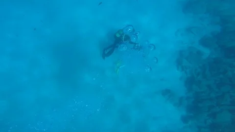 Diving under the sea Stock Footage 92340539