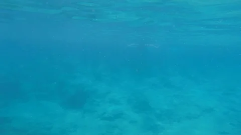 Diving under the sea Stock Footage 92340593