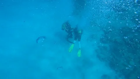 Diving under the sea Stock Footage 92341063