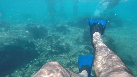 Diving under the sea Stock Footage 92341260