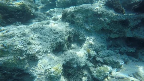 Diving under the sea Stock Footage 92341392