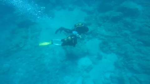 Diving under the sea Stock Footage 92341871
