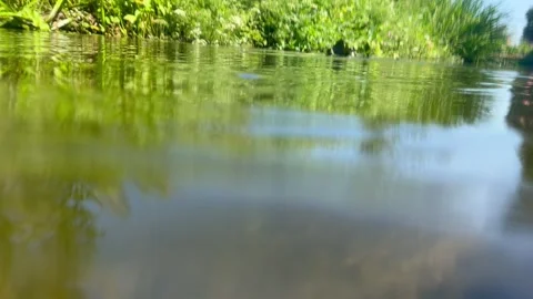 Diving under water Stock Footage 252771897