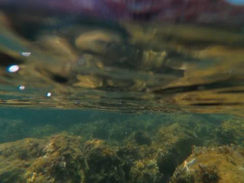 Diving to the under water Stock Photos