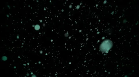 Diving underwater Video stock 10569082