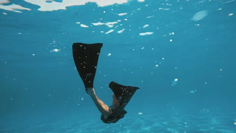 Diving Underwater With Long Fins Stock Footage 203485595