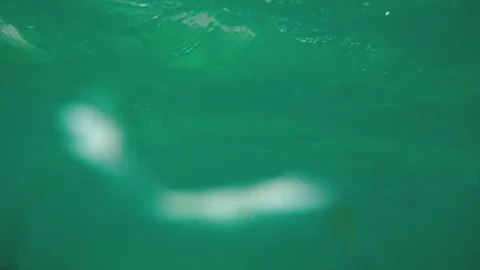 Diving underwater P.O.V. Stock Footage 73836292