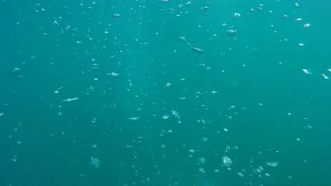 Diving video across bubbles in turquoise fresh water coming from scuba diver Stock Footage 140681488