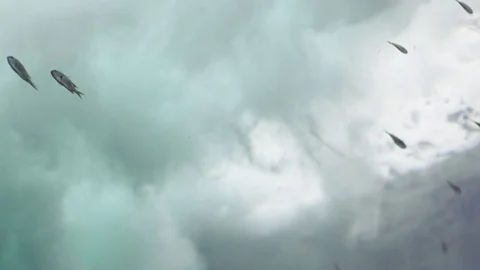 Diving into water, Breaking stream of ocean and small fishes Stock Footage 74958903