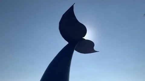 The diving whale sculpture in Oeiras Portugal, featuring a blue whale tail Stock Footage