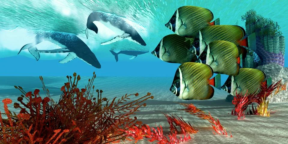 Diving whales Stock Illustration
