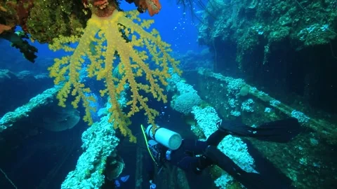 Diving on the wreck of a warship Stock Footage 325733536