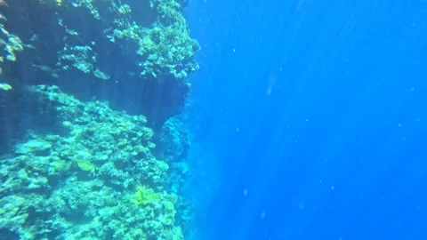 Diving yachts and camera motion underwater descent showing the coral reef wall Video stock 323791525