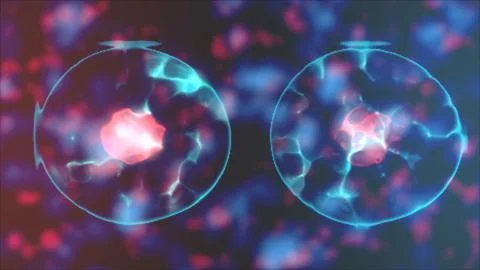 Division of a cell, mitosis concept. Cell division. Biology concept. Cell d.. Stock Photos
