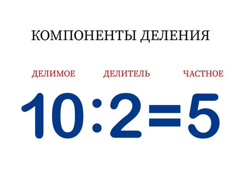 Division components. Mathematical formula dividend divided by divisor equals 스톡 일러스트