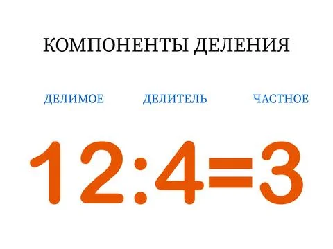 Division components. Mathematical formula dividend divided by divisor equals 스톡 일러스트