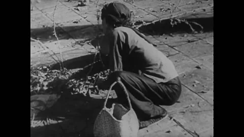 The division of Vietnam by the 17th parallel in 1965, and footage of North Stock Footage 152664892