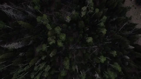 Dixie National Forest of Utah Stock Footage 173278928