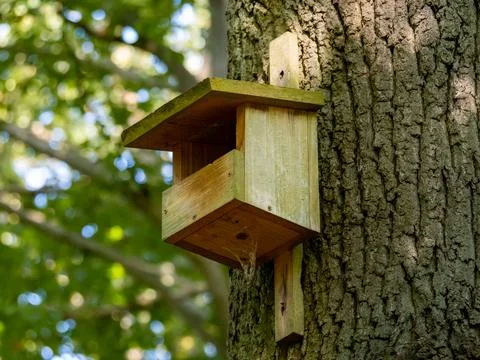 DIY Birdhouse High up on a Tree Stock Photos