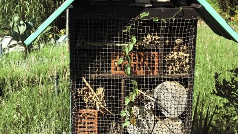 A DIY bug hotel in spring closeup. Stock Footage 301979469