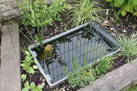DIY container pond Foto stock