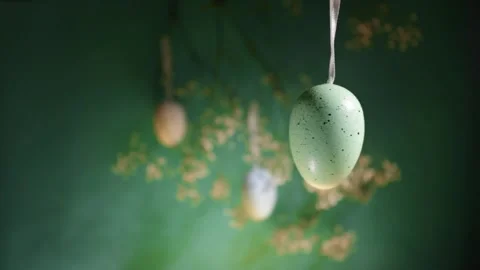 DIY Easter egg, hanging from a branch, spring flowers, holiday card Stock Footage 262946638