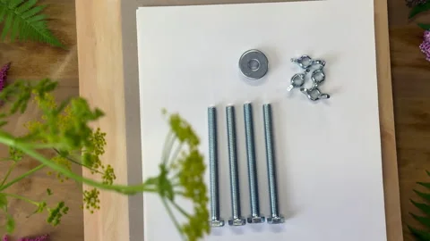 DIY flower press components flat lay. Materials for pressing flowers: plywood, b Stock Footage 313780524