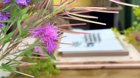 DIY flower press components flat lay. Materials for pressing flowers: plywood, b Stock Footage 313780988