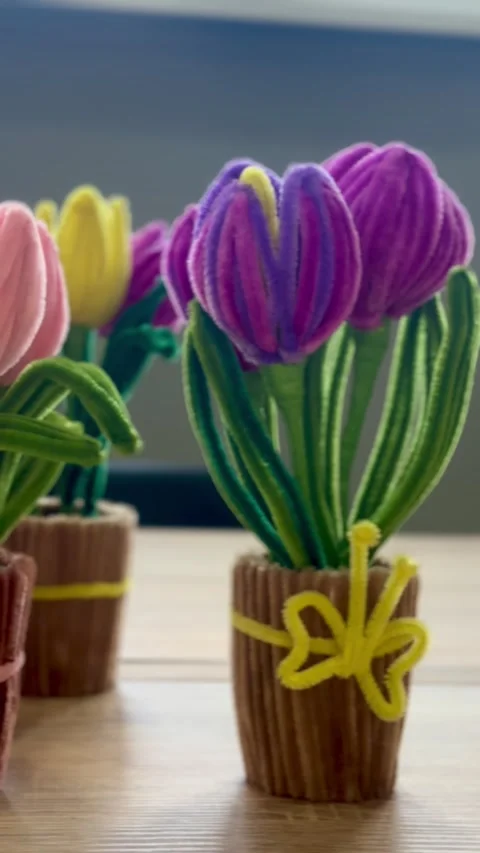 DIY Fluffy Tulips in a Pot: Chenille Stems Flower Review Stock Footage 332847405