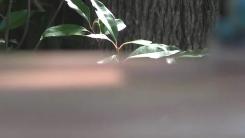 DIY Power Sander Stock Footage 131063544