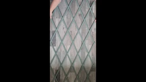 DIY Rose Pergola Vidéo 299914698
