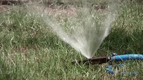 DIY sprinkler on lawn Stock Footage 201022049