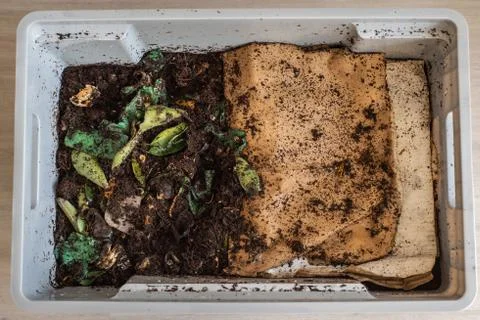 A DIY worm farm composting bin in an apartment Stock Photos