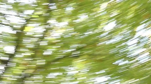 Dizziness in the forest Stock Footage 42778267