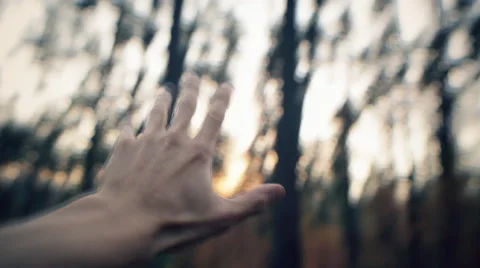 Dizziness. Hallucinations. Blurry Hand In The Background Of The Forest Stock-Footage 55449332